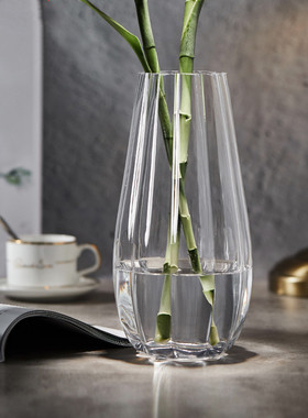 玻璃花瓶透明水养富贵竹百合花瓶摆件客厅插花家用北欧式干花