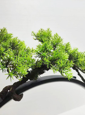 新中式创意白酒展示架送礼高档品鉴会led发光酒座摆件绿植灯圈