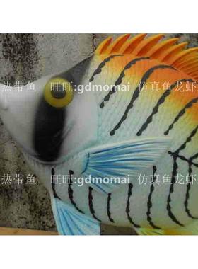 仿真大号鱼鱼海洋主题公园装饰鱼50cm彩色热带鱼卡通塑料橱窗摆设