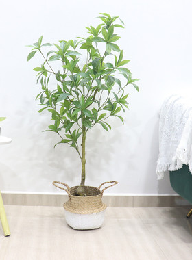 北欧室内客厅落地摆放仿真植物盆栽塑料鸭脚木福禄新款桐绿植盆景
