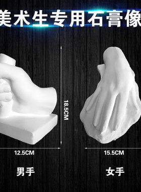 男女手足石膏像手脚四件套教具石膏美术素描绘画写生静物用具摆件