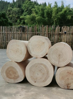 圆木天然原木客厅木墩花架花盆花瓶鱼缸茶几台底座装饰摆件批发桩