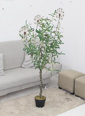 仿真橄榄树装饰风格假树北欧ins室内盆栽义乌外贸