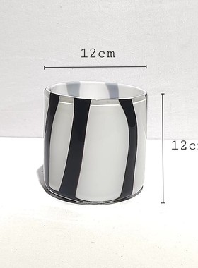 北欧桌面黑色条纹玻璃花瓶摆件家居样品房餐厅创意软装设计