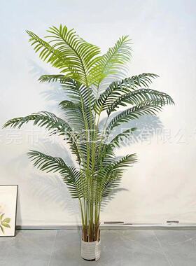 散尾葵凤尾葵美人蕉大型室内仿真植物北欧橄榄树尤加利厂家直销