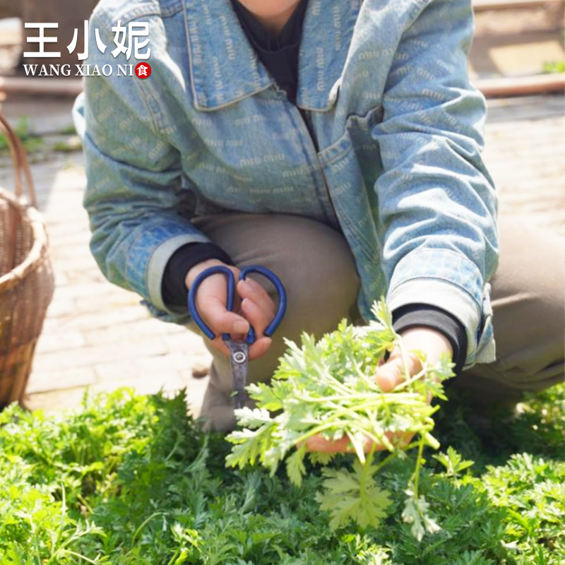 浙江衢州龙游小吃农家清明果青粿艾果青饺传统美食粗粮早餐菜粿-图2