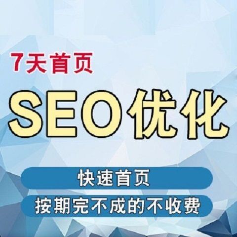 网站seo优化关键词排名快速首页收录快照恢复引擎推广 - 图1