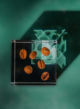 植物矿石标本收藏朋友情侣礼物