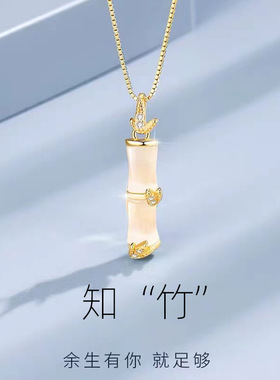 轻奢网红韩版ins简约竹节项链