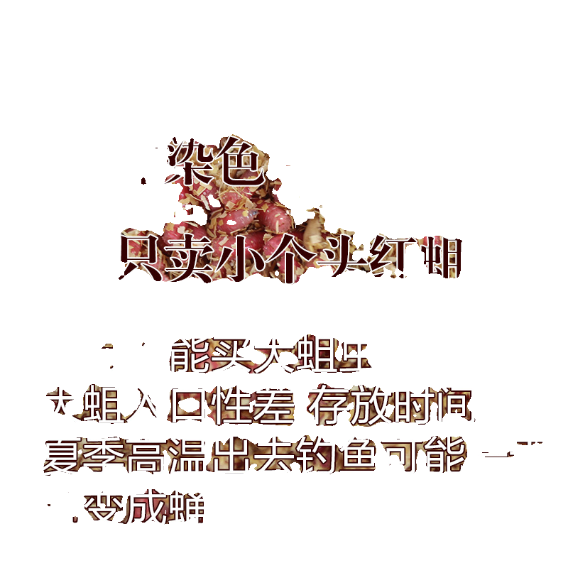 溪流钓野钓专用小个头红蛆虫活饵鱼饵入口性好不易变蛹钓石斑溪哥 - 图3