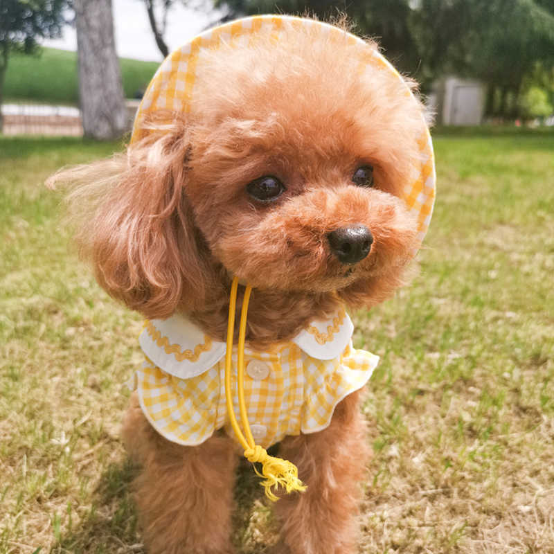 狗狗宠物帽子夏 新人首单立减十元 21年8月 淘宝海外