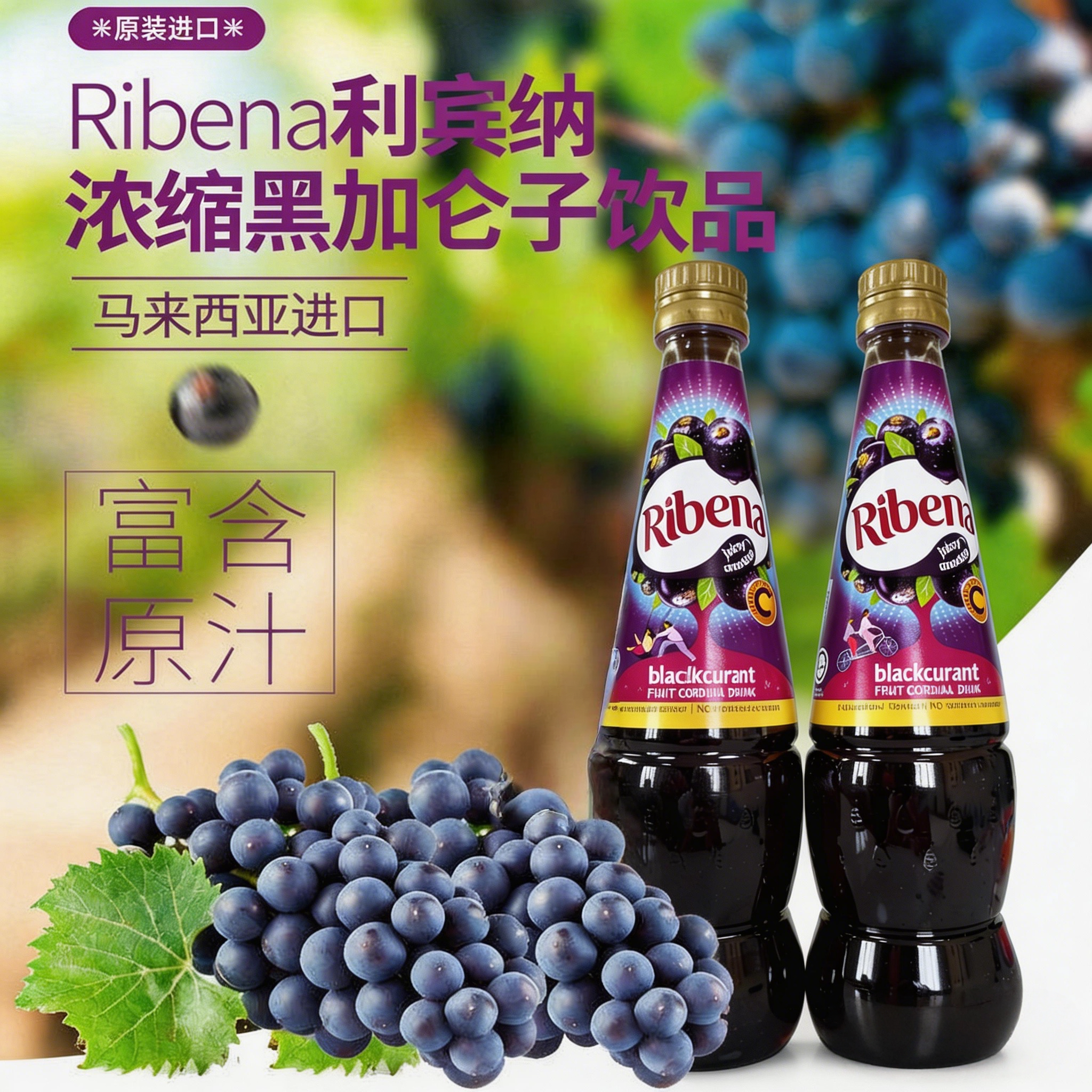 利宾纳浓缩黑加仑子饮料汁1L马来西亚进口葡萄果浆维C果汁冲饮料