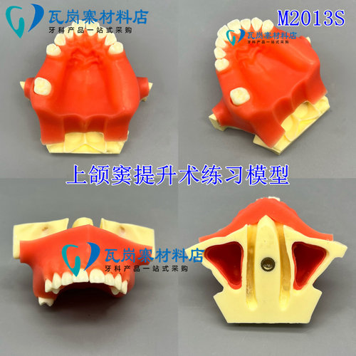 口腔种植练习模型 打孔栽钉种植实操 上颌窦提升下颌骨种植练习 - 图1