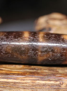 橘色款早期台珠满风化纹双虎牙天珠