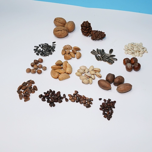 Nanshan Squirrel Food Self -оборудованная зерно, сильные фрукты, фрукты и овощи,