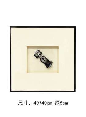 样板房书房客厅动物蝴蝶标本