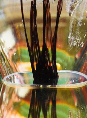 【本尼家】JC07常青树桌面装饰摆件