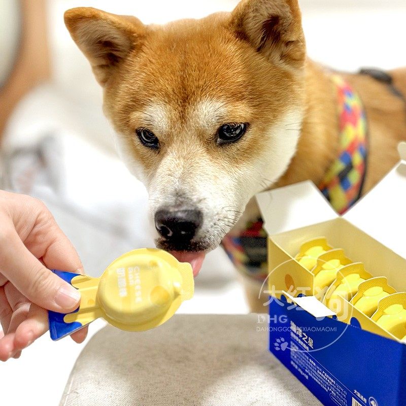海洋之星奶酪棒营养补钙呵护肠胃低乳糖成幼犬猫狗零食高钙棒棒糖,淘宝优惠券,粉丝福利购,淘宝优惠卷