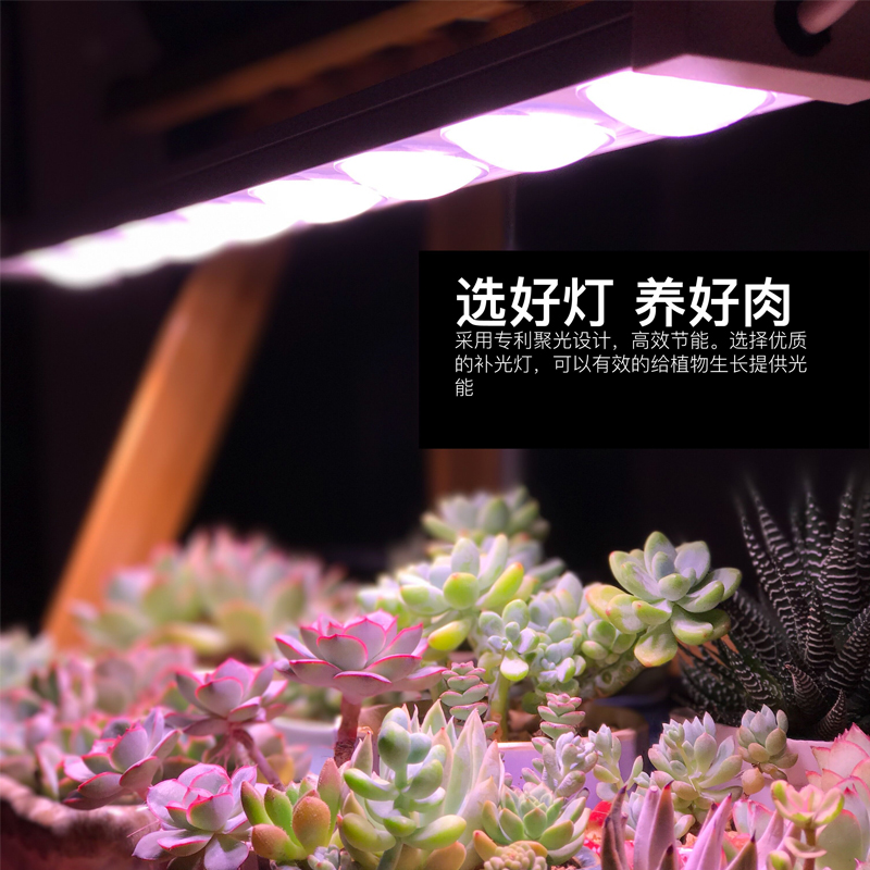 科瑞LED植物生长灯全光谱多肉补光灯上色室内雨林缸盆栽微景观灯 - 图0