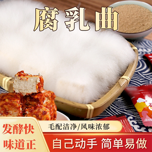 腐乳曲粉家用霉豆腐曲做豆腐乳的霉菌毛霉菌豆渣豆豉腐乳粉曲粉 - 图0