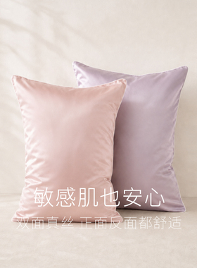 美标100%桑蚕丝真丝枕套