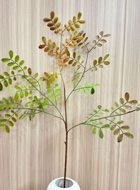仿真绿植南天竹网红马醉木轻奢落地造景装饰绿叶室内装饰树枝