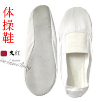 School Gymnastics Shoes Men And Women Dance Shoes Dancing Shoes Practice Utiliti Shoes Ballet Shoes Yoga Soft Bottom Canvas Cow Leather Bottom White