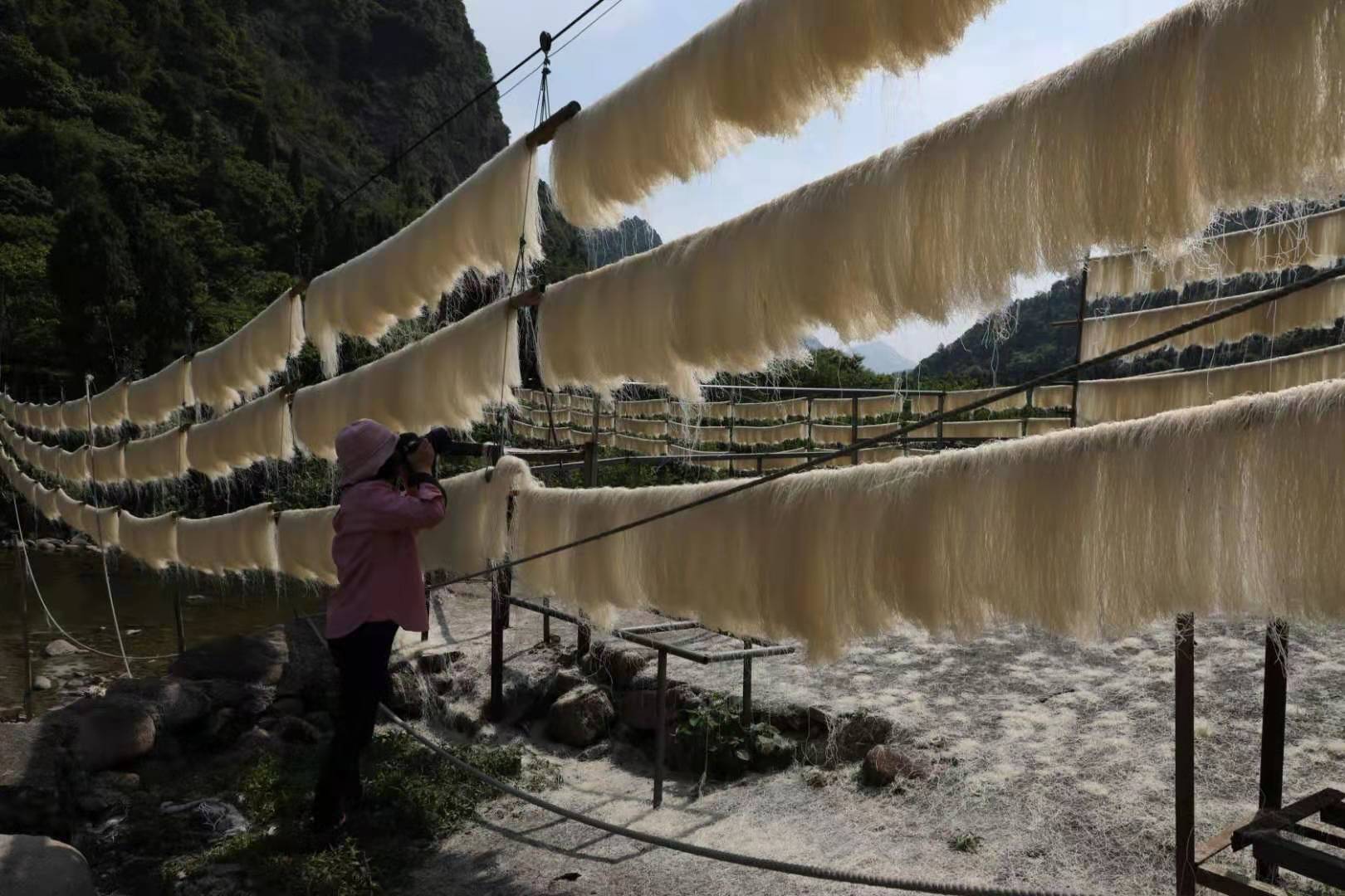 大荆上山面温州粉干炒米粉干米细粉干细米面浙江特产10斤装 - 图2