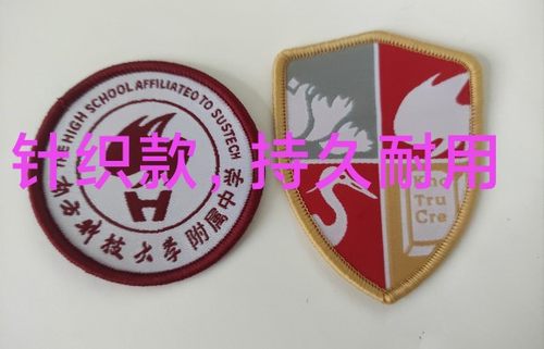 深圳中学校徽实验数理科技高中园附属外国语技术小大学校红岭 - 图1