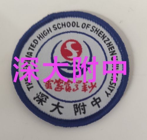 深圳中学校徽实验数理科技高中园附属外国语技术小大学校红岭 - 图0