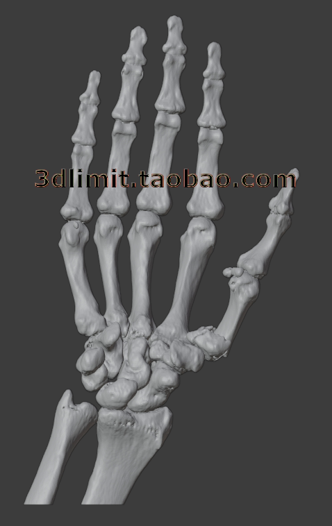 3D打印扫描DICOM dcm CT医学数据转换3D模型stl obj gltf dae fbx - 图0