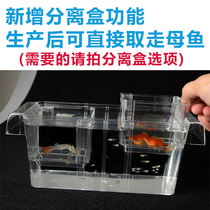 Peacock Fish Hatchbox Multifunction Fish Fry Incubators Jar Outer Acrylic Mother Fish Breeding Box Bucket Fish Isolation Fish Tank