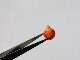 Can't eat miniature food and play handmade clay works peeled orange orange pomegranate model small cloth ob baby house