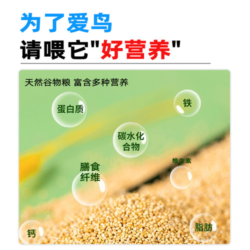 鹦鹉鸟粮饲料新黄谷子带壳小米虎皮鹦鹉饲料玄凤牡丹专用食物粮食 - 图1