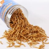 Зерновая лапша, червяка, червь, сушеное желтое порошок питание, пищевые товары основного зерна