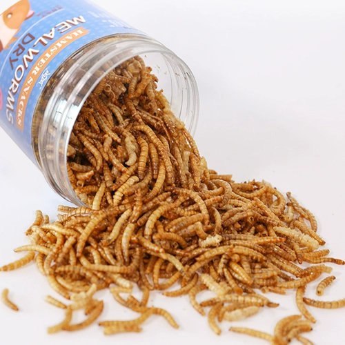 Зерновая лапша, червяка, червь, сушеное желтое порошок питание, пищевые товары основного зерна