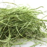 Отказываясь забирать рот, маленький кролик любит есть! Зеленые листовые стержни меньше травы