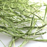 Отказываясь забирать рот, маленький кролик любит есть! Зеленые листовые стержни меньше травы