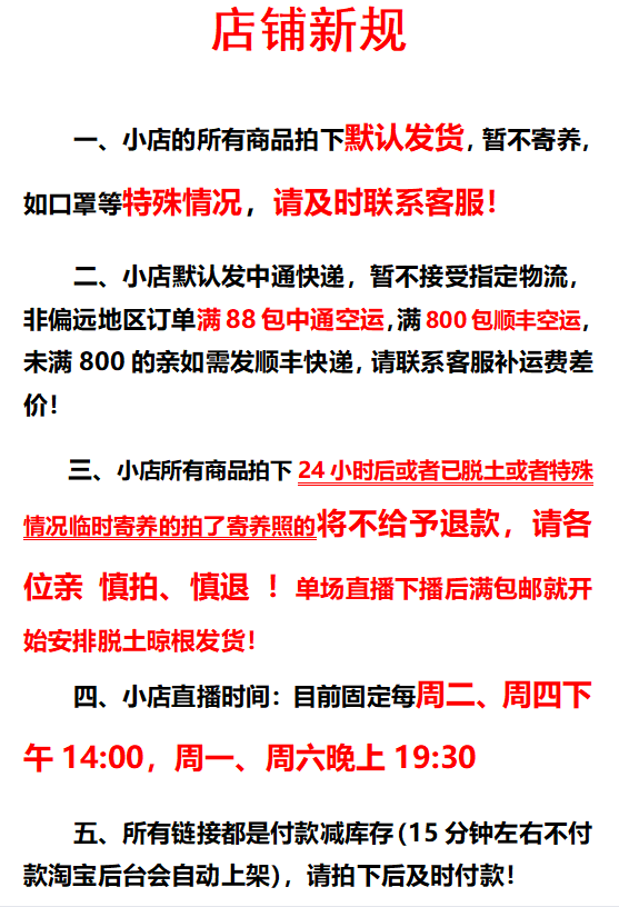 朱 A5557-5570 小品位植物园云南多肉糖心冰魄麦秆黛玉玉玲珑红霞 - 图2