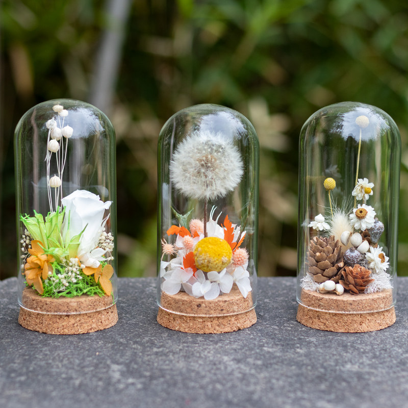 永生花玻璃罩小摆件微景观志愿者暖场沙龙团建活动diy手工材料包,淘宝优惠券,粉丝福利购,淘宝优惠卷
