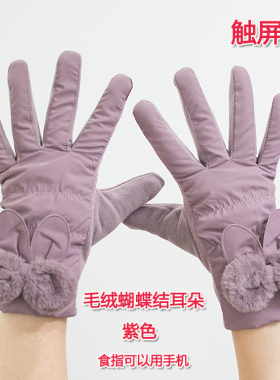 秋冬季女士双层防风春天韩版手套