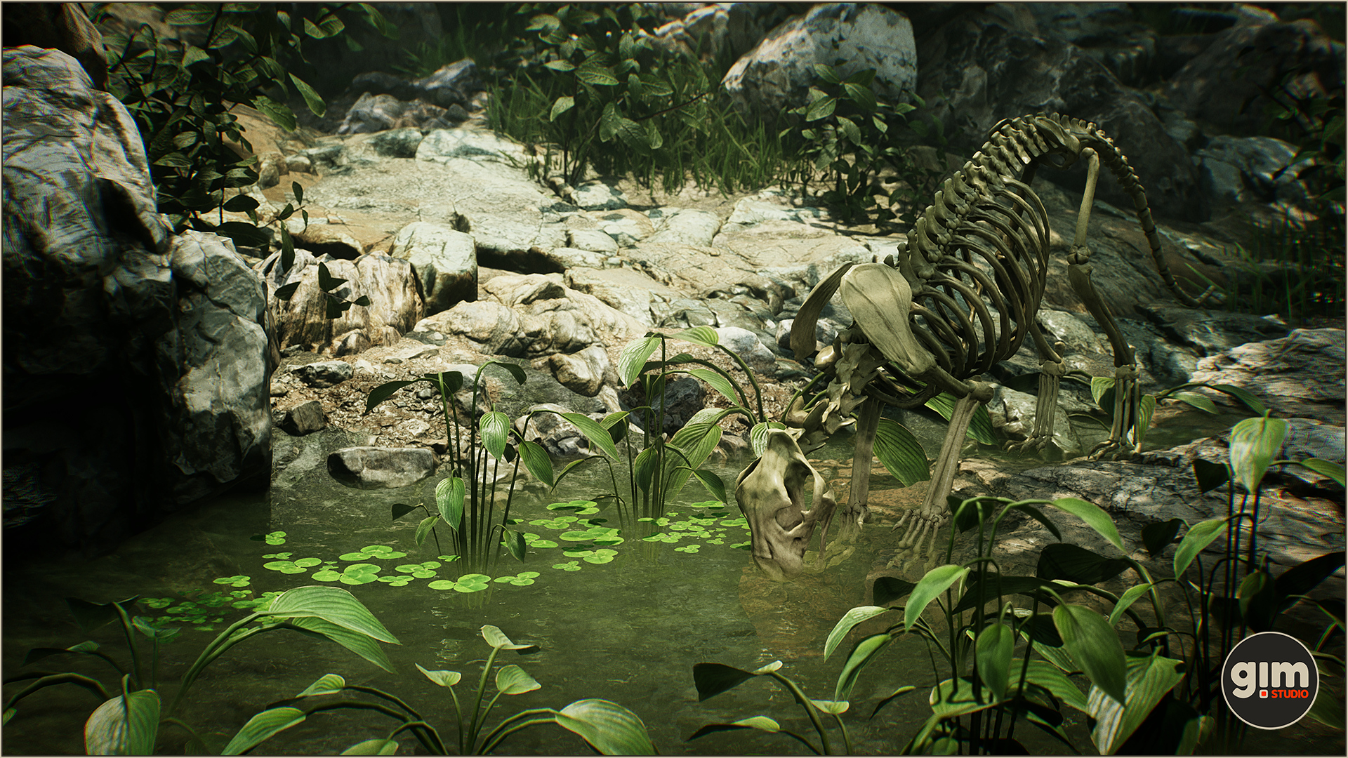 UE4虚幻5 Animalia - Tiger (male) 成年老虎模型带动画GIM - 图2