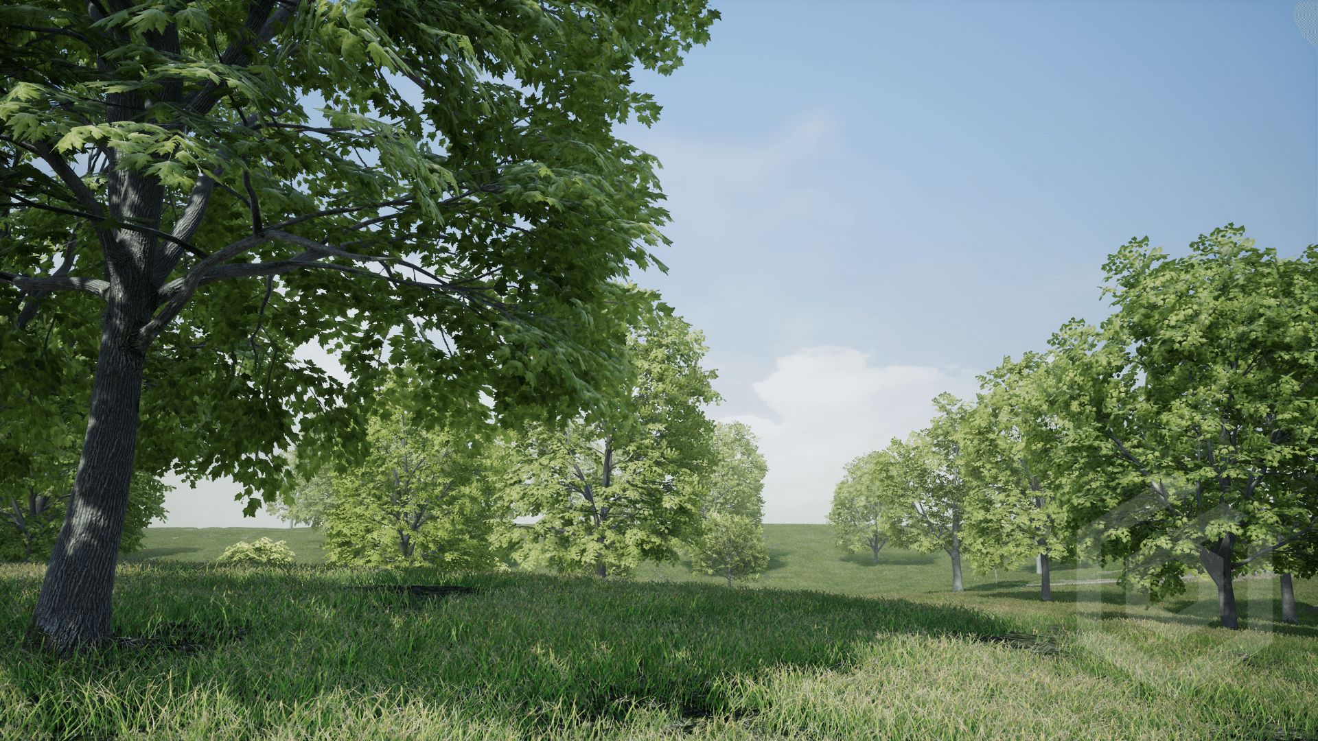 UE4虚幻5 Trees: Maple Tree 树木枫树森林道具合集 - 图0