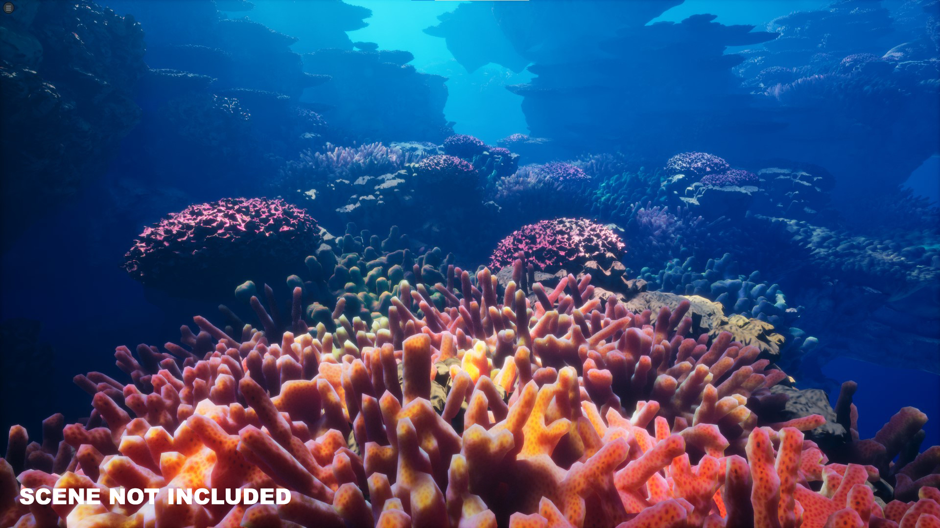 UE5虚幻5 Coral 写实海底世界海洋生物珊瑚海藻模型道具 - 图2