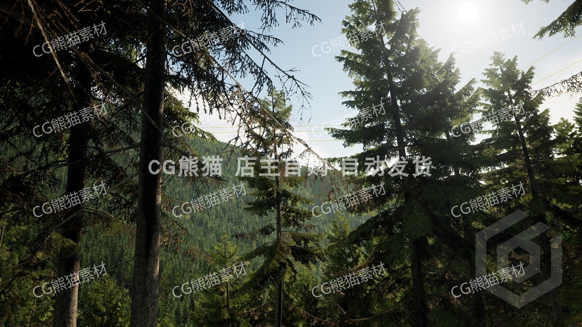 UE4虚幻5 Trees: Spruce tree 云杉树树木森林道具模型 - 图0