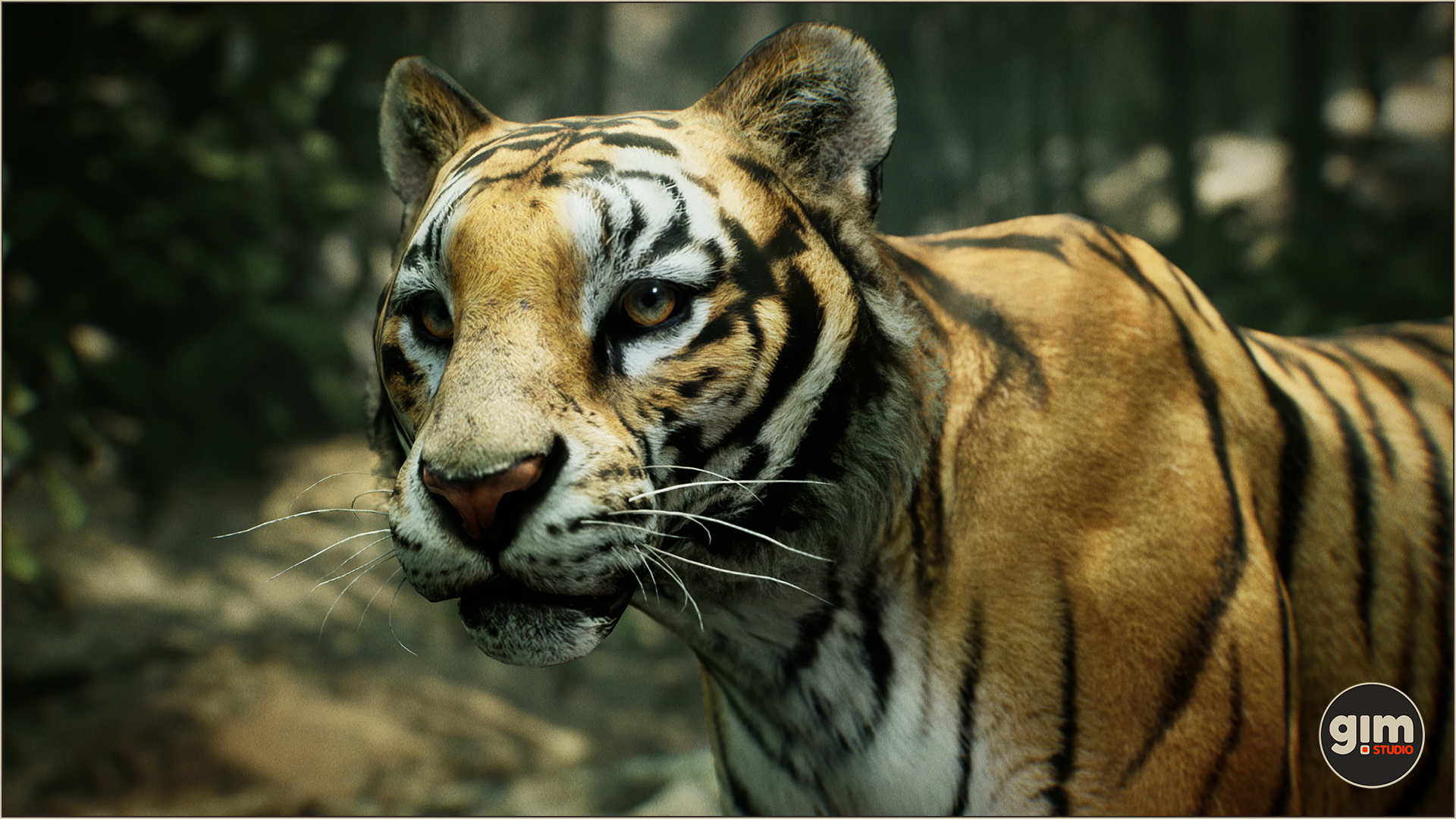 UE4虚幻5 Animalia - Tiger (male) 成年老虎模型带动画GIM - 图0