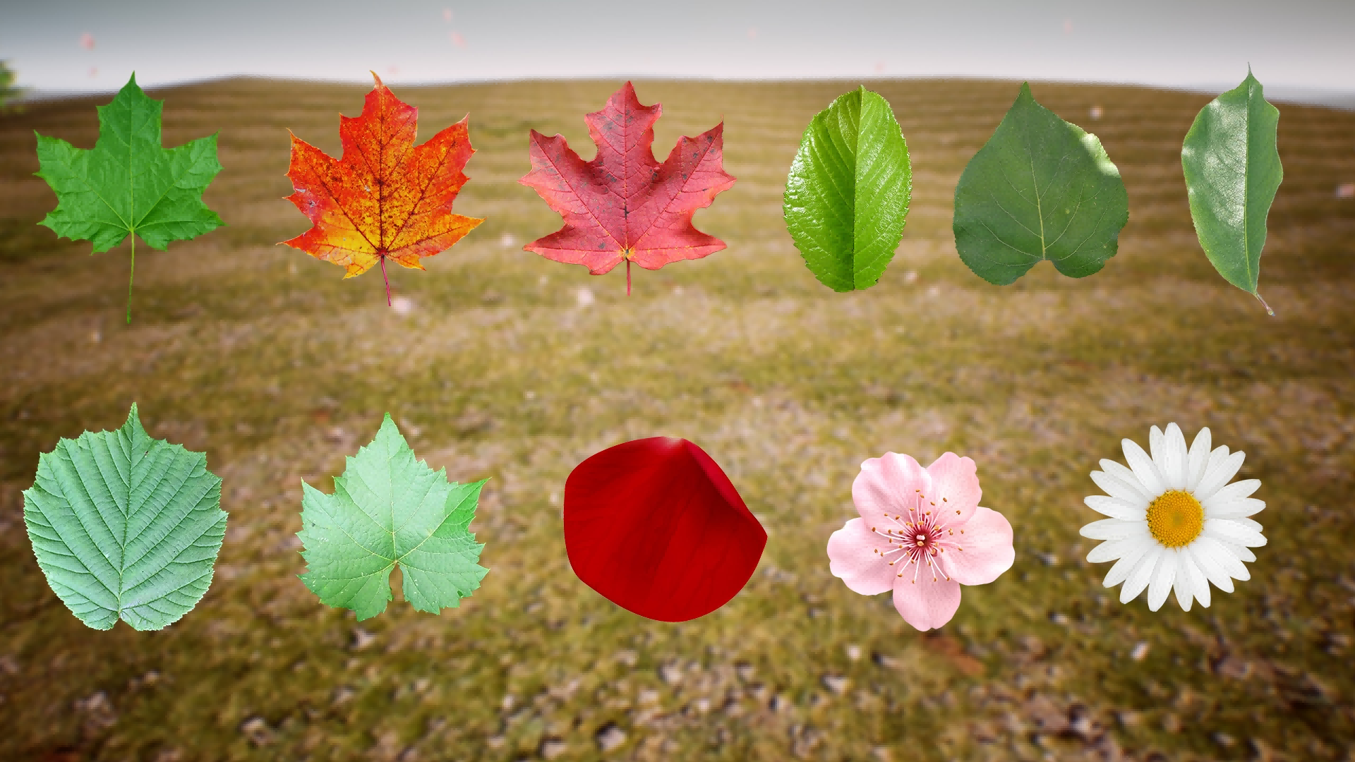 UE4虚幻5 Falling Leaves VFX Pack 落叶落花视觉粒子特效 - 图2