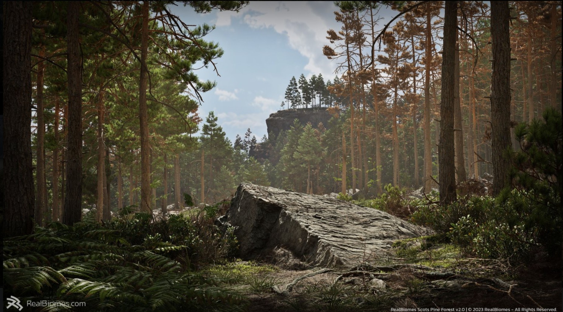 UE5虚幻5 RealBiomes Scots Pine Forest V2 苏格兰松林场景2.0 - 图0