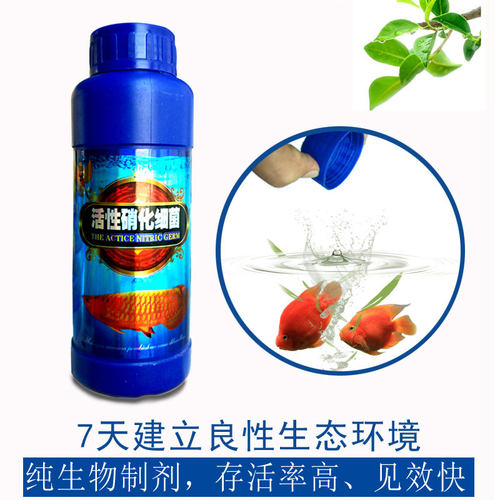 鱼用超级硝化系统活性细菌消化活菌锦鲤专用净水剂鱼缸养鱼用品液 - 图0