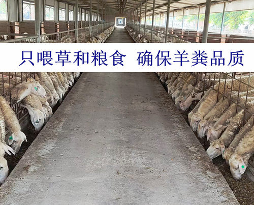 纯羊粪发酵有机肥底肥生物肥盆栽家用种菜果树肥料农家肥花卉通用 - 图2
